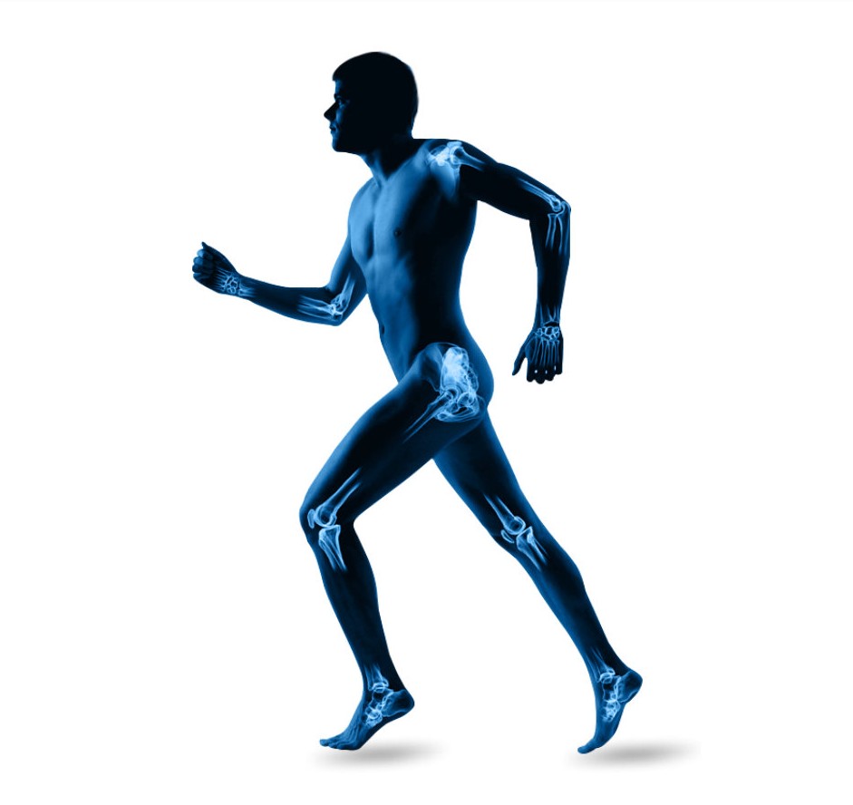 Rehabilitation stage slide showing body readiness to build strength and return to daily activities